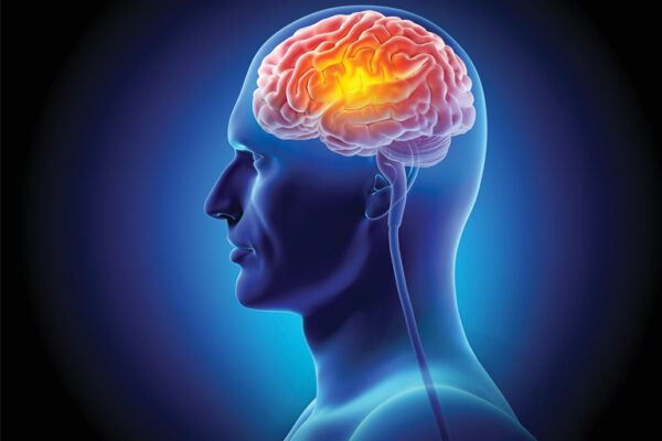 Body Movements Affect Brain