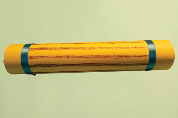 Cardboard Rainstick