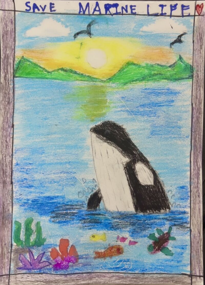 Save Marine Life