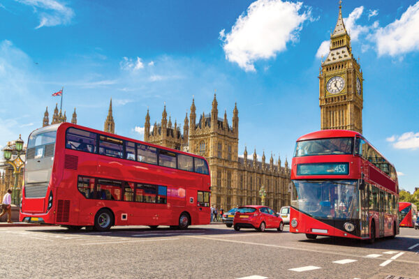 Free Bus Transport