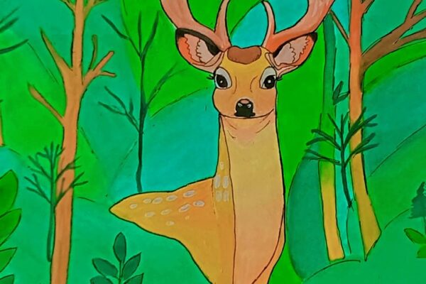 Deer in The Forest