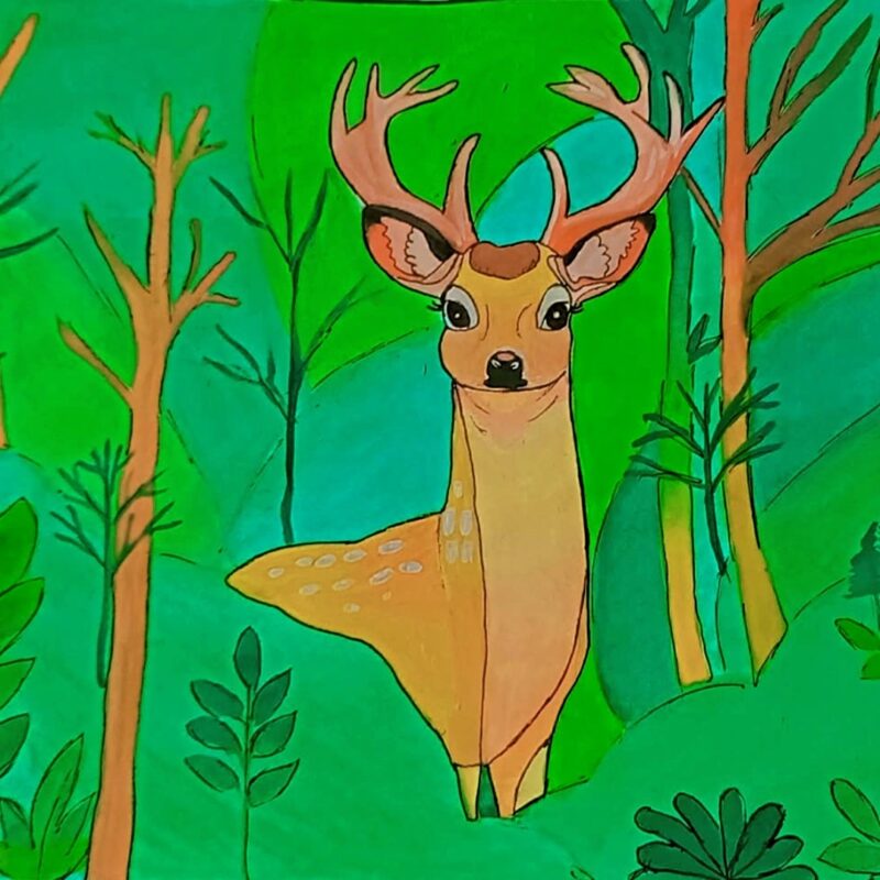Deer in The Forest
