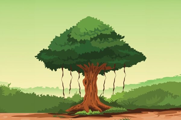 The Old Banyan Tree