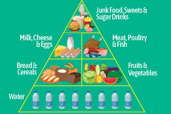 What is Nutrition?