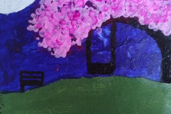 Pink Blossoms