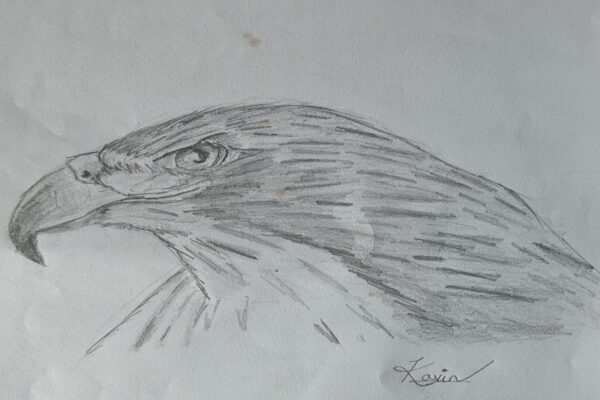Falcon
