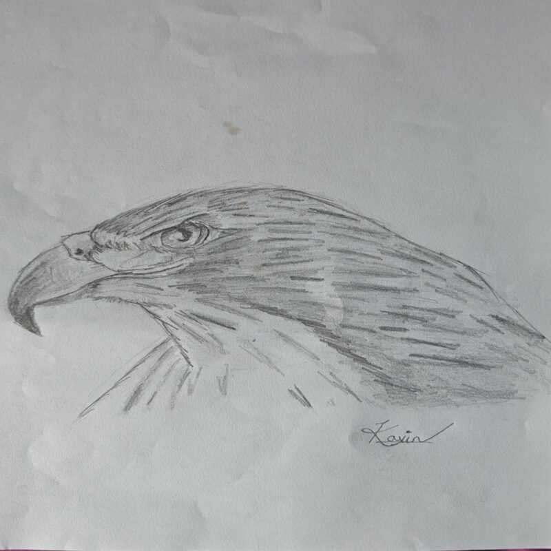 Falcon