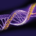 Can Scientists Rewrite DNA—the Code of Life?