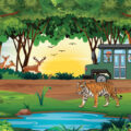 Kabini in Action