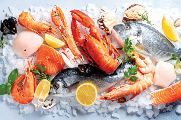 Seafood Export Milestone