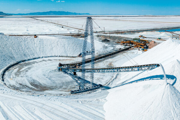 The Amazing Magic of Salt