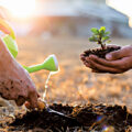 The Environment & Pollution