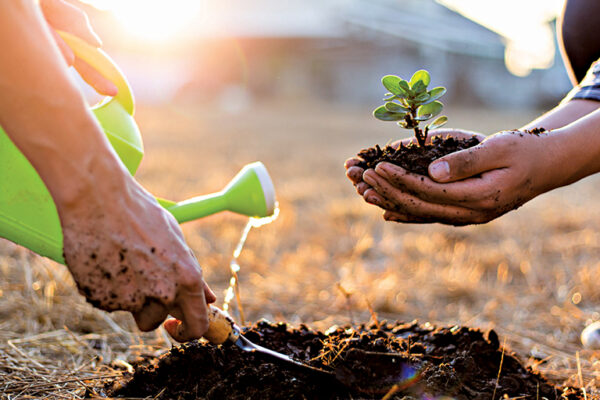 The Environment & Pollution