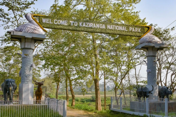 Kaziranga National Park and Tiger Reserve