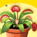 What are Carnivorous Plants?