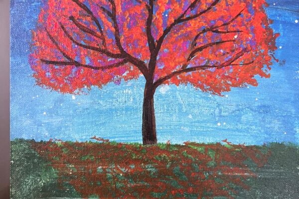 Cherry Blossom