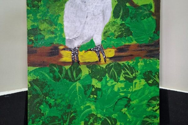 A Blue-eyed Cockatoo Bird