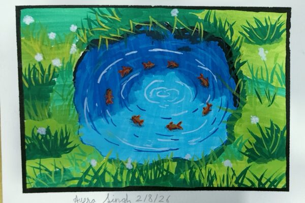 From the Gentle Ripples to the Tiny Goldfish