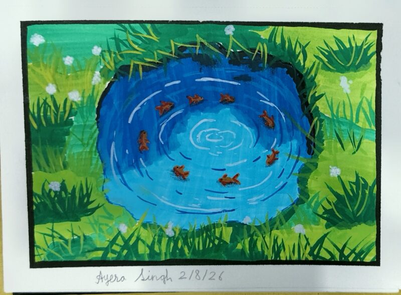 From the Gentle Ripples to the Tiny Goldfish
