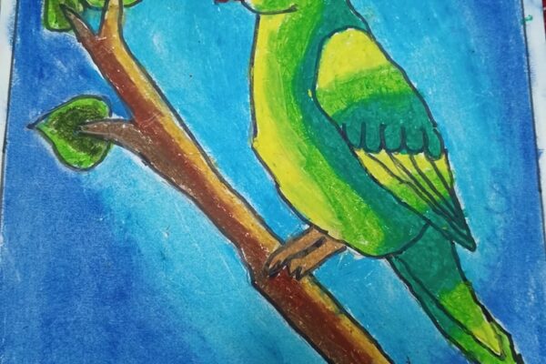 Parrot