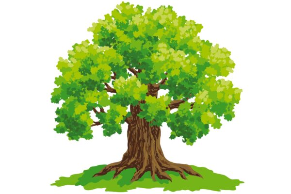 A Tree Through Time
