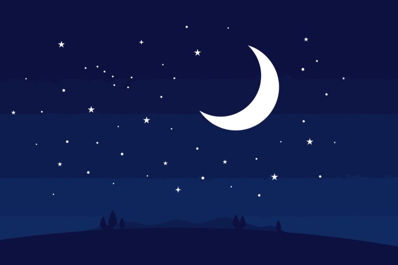 The Stars