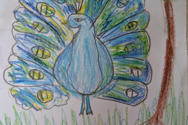 Dancing Peacock