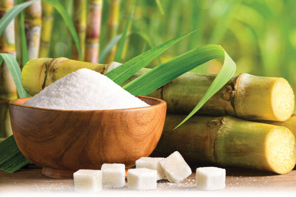 Sugar And The Triangle Trade