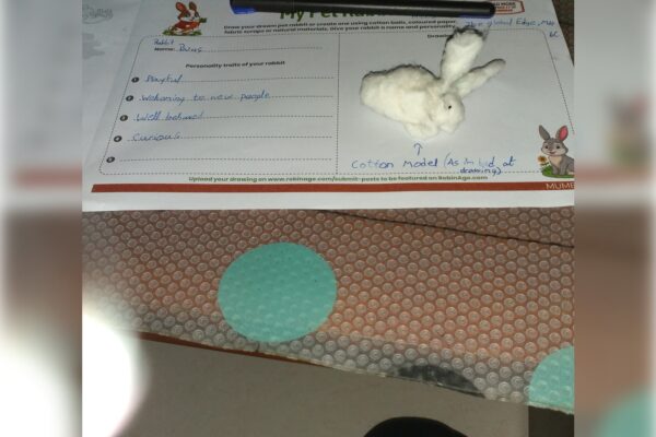 My Pet Rabbit