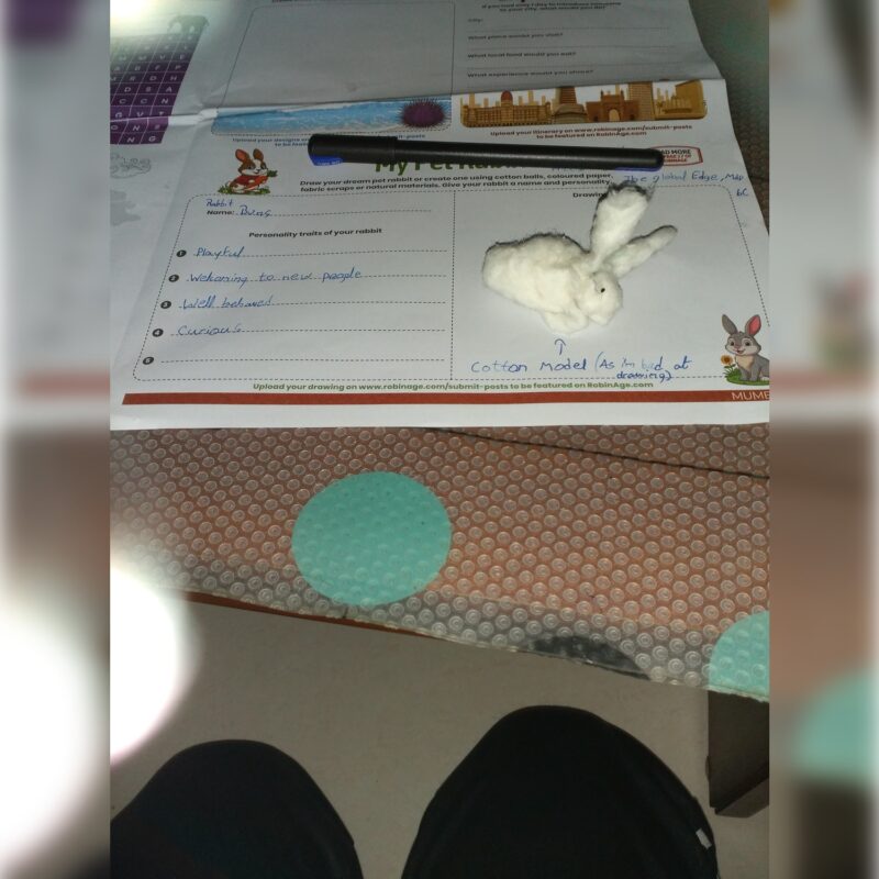 My Pet Rabbit