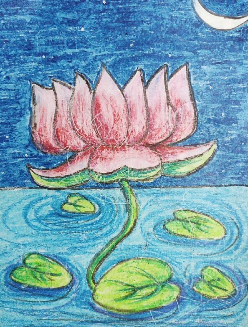 Lotus Pond