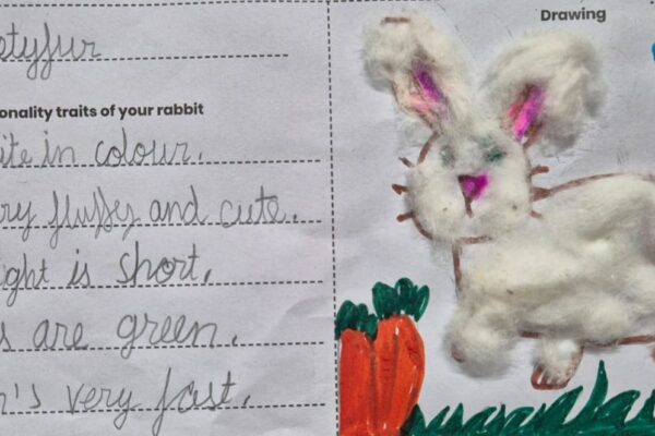 My Pet Rabbit