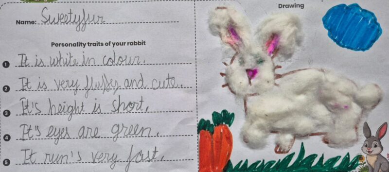 My Pet Rabbit