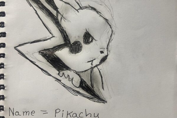 Pikachu Pokemon