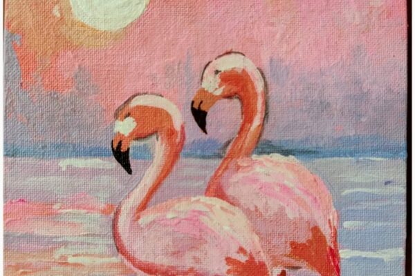 Flamingo