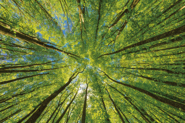 Environmental Issues Discussed
