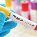 Increase in Dengue Cases