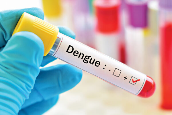 Increase in Dengue Cases