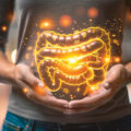 Why Are Gut Bacteria Important?