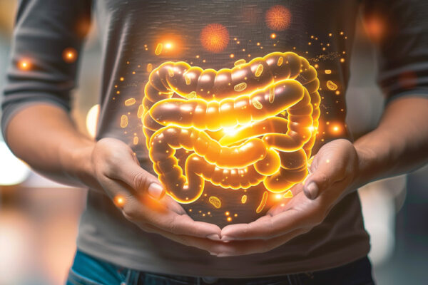Why Are Gut Bacteria Important?
